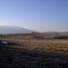 DSC01019